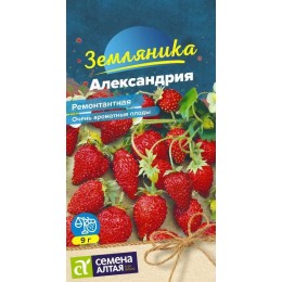 Ягода Земляника Александрия ремонтантная/Сем Алт/цп 0,03 гр.