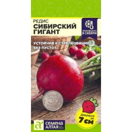 Редис Сибирский Гигант/Сем Алт/цп 2 гр. СЕРИЯ СИБИРСКИЕ ГИГАНТЫ!