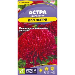 Цветы Астра Игл Черри/Сем Алт/цп 0,2 гр.