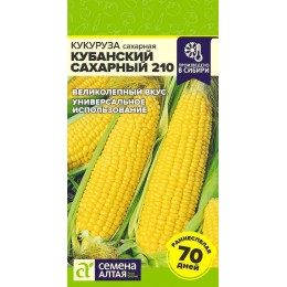 Кукуруза Кубанский Сахарный 210/Сем Алт/цп 5 гр.р
