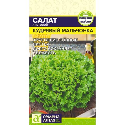 Зелень Салат Кудрявый Мальчонка/Сем Алт/цп 0,5 гр.