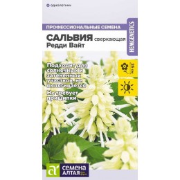 Цветы Сальвия Редди Вайт сверкающая/Сем Алт/цп 5 шт.