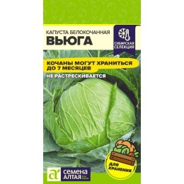Капуста Вьюга/Сем Алт/цп 0,3 гр. Сибирская Селекция!