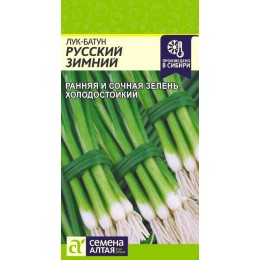 Лук Батун Русский Зимний/Сем Алт/цп 0,5 гр.