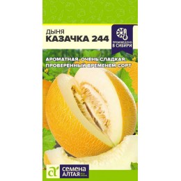 Дыня Казачка 244/Сем Алт/цп 1 гр.р