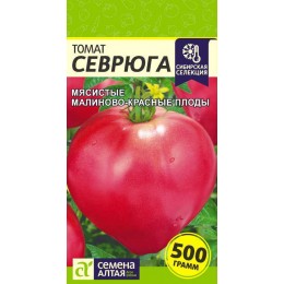 Томат Севрюга/Сем Алт/цп 0,05 гр. Сибирская Селекция!