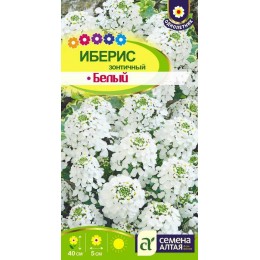 Цветы Иберис Белый зонтичный/Сем Алт/цп 0,3 гр .