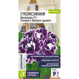 Цветы Глоксиния Брокада F1 Синяя с белым краем/Сем Алт/цп 5 шт.