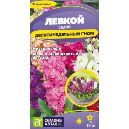 Цветы Левкой Десятинедельный гном седой/Сем Алт/цп 0,05 гр.