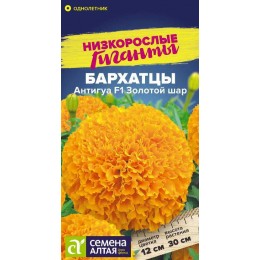 Цветы Бархатцы Антигуа F1 Золотой шар/Сем Алт/цп 5 шт. Низкорослые гиганты