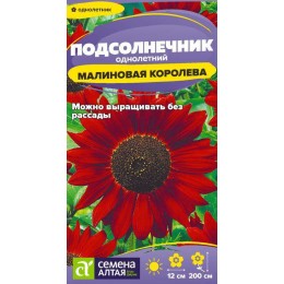 Цветы Подсолнечник Малиновая Королева/Сем Алт/цп 0,3 гр.