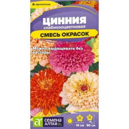 Цветы Цинния Скабиозоцветковая Смесь окрасок/Сем Алт/цп 0,2 гр.
