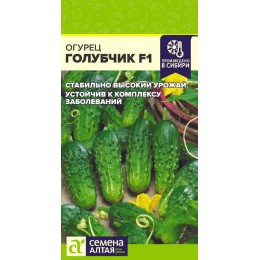 Огурец Голубчик F1/Сем Алт/цп 0,3 гр.р