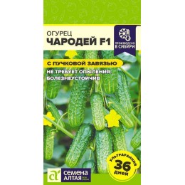 Огурец Чародей F1/Сем Алт/цп 6 шт.р
