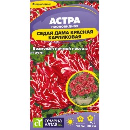 Цветы Астра Седая Дама Красная карликовая/Сем Алт/цп 0,05 гр.