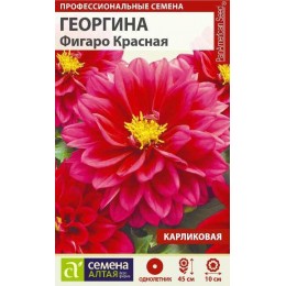 Цветы Георгина Фигаро Красная махровая/Сем Алт/цп 5 шт.