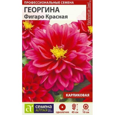 Цветы Георгина Фигаро Красная махровая/Сем Алт/цп 5 шт.