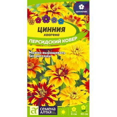 Цветы Цинния Персидский Ковер хаагена/Сем Алт/цп 0,3 гр.