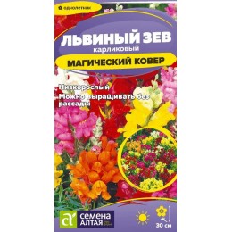 Цветы Львиный зев Магический Ковер/Сем Алт/цп 0,1 гр.