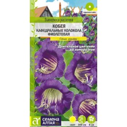 Цветы Кобея Кафедральные колокола фиолетовая/Сем Алт/цп 5 шт. Вьющиеся растения