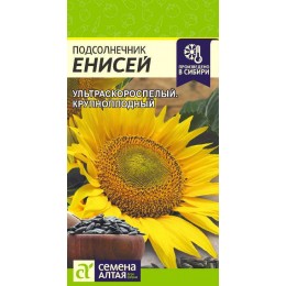 Подсолнечник Енисей/Сем Алт/цп 10 гр.р