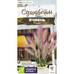 Ячмень гривастый Рикки злак декоративный/Сем Алт/цп 5 шт. Сухоцветы НОВИНКА