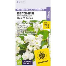 Цветы Бегония Фея F1 Белая вечноцветущая/Сем Алт/цп 5 шт. НОВИНКА