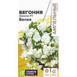 Цветы Бегония Шансон F1 Белая ампельная клубневая/Сем Алт/цп 5 шт. Ампельные шедевры НОВИНКА