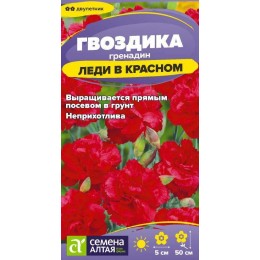 Цветы Гвоздика гренадин Леди в красном/Сем Алт/цп 0,05 гр. двулетник