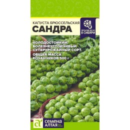 Капуста Брюссельская Сандра/Сем Алт/цп  0,5 гр.