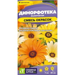 Цветы Диморфотека смесь окрасок/Сем Алт/цп 0,1 гр.