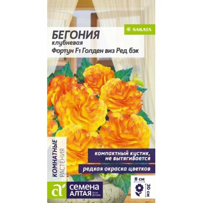 Цветы Бегония Фортун Голден виз Ред Бэк клубневая/Сем Алт/цп 5 шт.