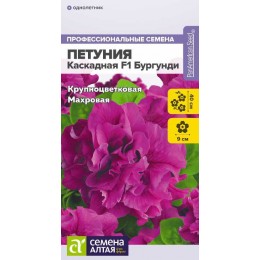 Цветы Петуния Каскадная F1 Бургунди махровая/Сем Алт/цп 7 шт.