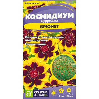 Цветы Космидиум Брюнет/Сем Алт/цп 0,01 гр.