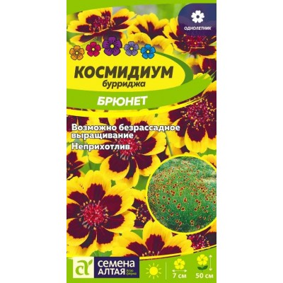 Цветы Космидиум Брюнет/Сем Алт/цп 0,01 гр.