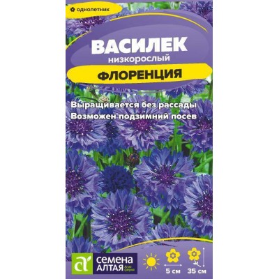 Цветы Василек Флоренция низкорослый/Сем Алт/цп 0,2 гр.