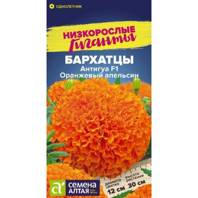 Цветы Бархатцы Антигуа Оранжевый апельсин/Сем Алт/цп 5 шт. Низкорослые гиганты