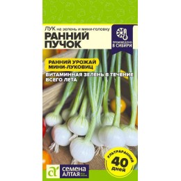 Лук на зелень и мини-головку Ранний Пучок/Сем Алт/цп 0,3 гр.