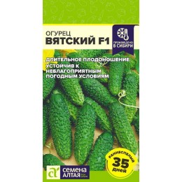 Огурец Вятский F1/Сем Алт/цп 5 шт.