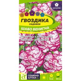 Цветы Гвоздика Шабо Бенигна cадовая/Сем Алт/цп 0,1 гр.