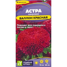 Цветы Астра Баллон Красная/Сем Алт/цп 0,05 гр.