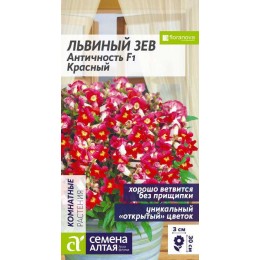 Цветы Львиный зев Античность F1 Красный/Сем Алт/цп 7 шт.
