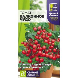Томат Балконное Чудо/Сем Алт/цп 0,05 гр. УРОЖАЙ НА ОКНЕ!