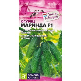 Огурец Маринда F1/Сем Алт/цп 5 шт.р Seminis (Голландские Семена)