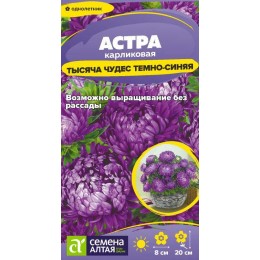 Цветы Астра Тысяча чудес темно-синяя карликовая/Сем Алт/цп 0,15 гр.
