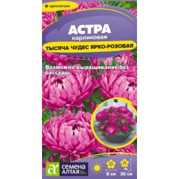 Цветы Астра Тысяча чудес ярко-розовая карликовая/Сем Алт/цп 0,15 гр.