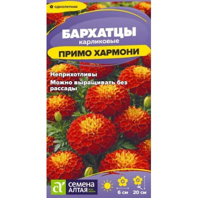 Цветы Бархатцы Примо Хармони карликовые/Сем Алт/цп 0,1 гр. Цветы Бархатцы Примо Хармони карликовые/Сем Алт/цп 0,1 гр.