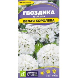 Цветы Гвоздика турецкая Белая Королева/Сем Алт/цп 0,1 гр. двулетник