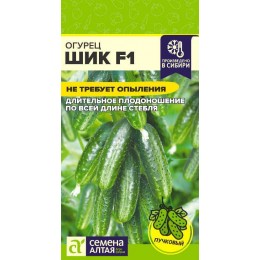 Огурец Шик F1/Сем Алт/цп 5 шт.