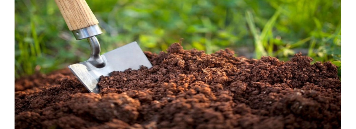 Влияние кислотности на почву